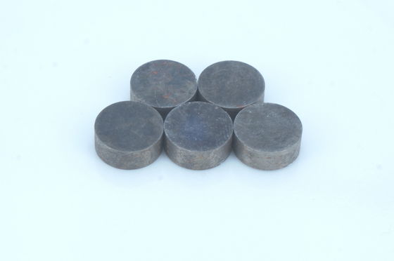 Custom Rare Earth NdFeB Magnet Hi Fi Speaker Magnet Precision