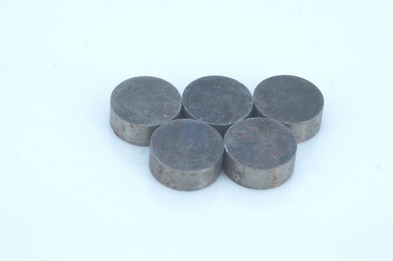 Custom Rare Earth NdFeB Magnet Hi Fi Speaker Magnet Precision