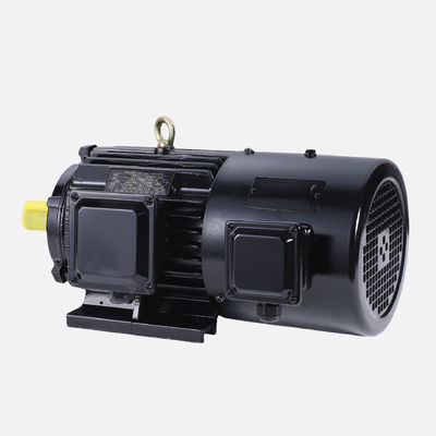 IE4 Efficiency Level Permanent Magnet Synchronous Motor For S1 Working System