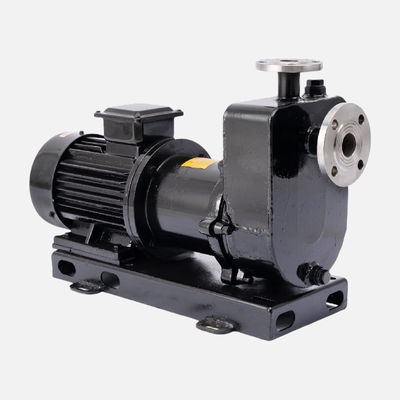 150 PSI Maximum Pressure Magnetic Sealless Centrifugal Pump With IP55 Motor Enclosure
