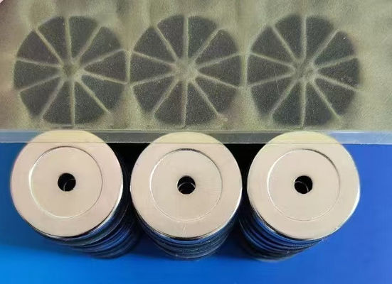 Custom Rare Earth Magnet Radial Multipolar Magnetization For Optimal Performance