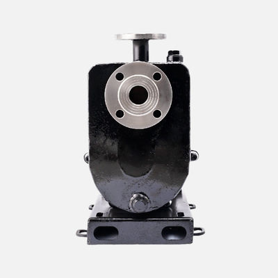 150 PSI Maximum Pressure Magnetic Sealless Centrifugal Pump With IP55 Motor Enclosure