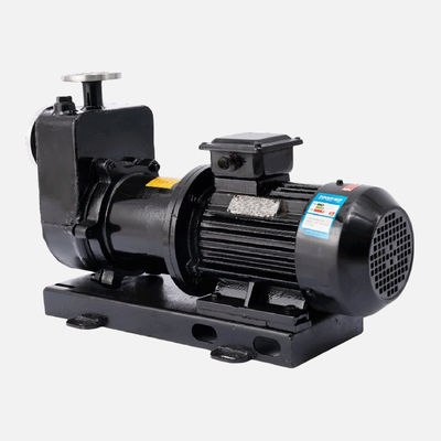 150 PSI Maximum Pressure Magnetic Sealless Centrifugal Pump With IP55 Motor Enclosure